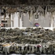 The Drain Man, Wet Wipe Blockage New York,